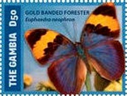 Colnect-3524-964-Gold-Banded-Forester-Euphaedra-neuphron.jpg