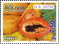 Colnect-1415-668-Fruits---Papaya.jpg