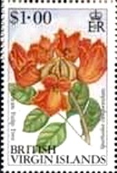 Colnect-2621-676-African-tulip-tree.jpg