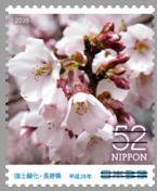 Colnect-3536-632-Takato-Kohigan-Zakura-Cherry-Blossoms.jpg