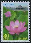 Colnect-817-680-Ooga-lotus-blossom.jpg