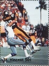 Colnect-5985-262-1976---Pittsburgh-Steelers---Dallas-Cowboys-2.jpg