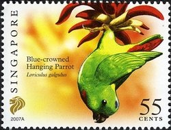 Colnect-614-045-Blue-crowned-Hanging-Parrot-Loriculus-galgulus.jpg