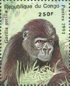 Colnect-5772-019-Gorilla-gorilla.jpg