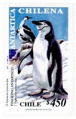 Colnect-530-544-Chinstrap-Penguin-Pygoscelis-antarcticus.jpg