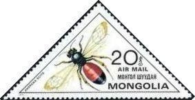Colnect-911-113-Mining-Bee-Andrena-scita.jpg