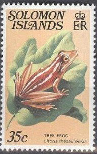 Treasury-Island-Tree-Frog-Litoria-thesaurensis.jpg
