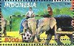 Colnect-2487-521-Elephants-playing-Soccer.jpg