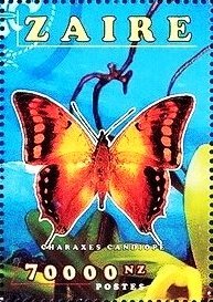 Colnect-4764-336-Charaxes-candiope.jpg