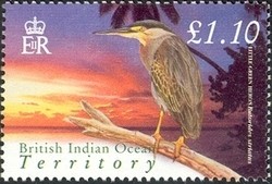 Colnect-1425-780-Striated-Heron-Butorides-striatus.jpg