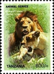 Colnect-1692-506-Lion-Panthera-leo-Male-and-Female.jpg