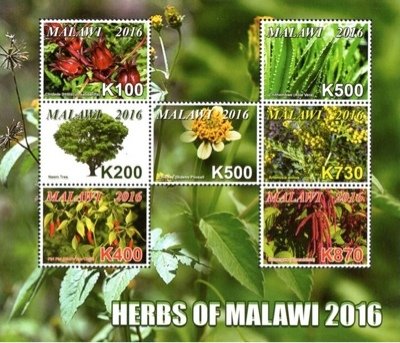 Colnect-4513-722-Herbs-of-Malawi.jpg