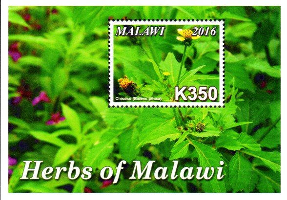 Colnect-4513-726-Herbs-of-Malawi.jpg