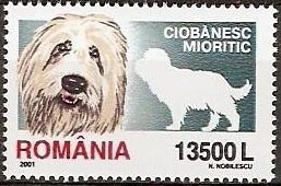 Colnect-757-999-Romanian-Shepherd-Canis-lupus-familiaris.jpg