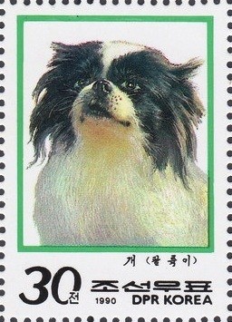 Colnect-2843-407-Japanese-Chin-Canis-lupus-familiaris.jpg