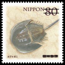 Colnect-1993-273-Tri-spine-Horseshoe-Crab-Tachypleus-tridentatus.jpg