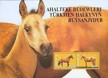 Colnect-639-534-Akhal-Teke-Horse-Equus-ferus-caballus.jpg