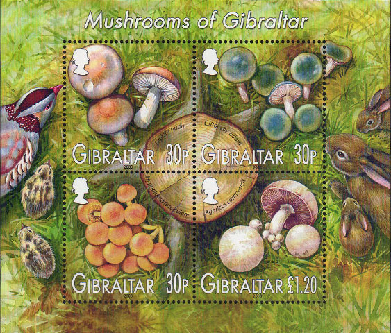 Colnect-1851-985-Mushrooms-of-Gibraltar.jpg