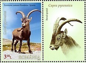 Colnect-1398-565-Spanish-Ibex-Capra-pyrenaica.jpg