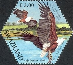 Colnect-1696-583-African-Fish-Eagle-Haliaeetus-vocifer.jpg