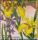 Colnect-4247-564-Hyacinth-Hyacinthus-orientalis.jpg