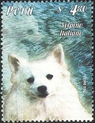 Colnect-1557-488-Volpino-Italiano-Canis-lupus-familiaris.jpg