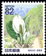 Colnect-3541-390-Asian-skunk-cabbage.jpg