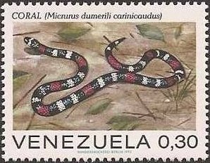 Colnect-1280-974-Coral-Snake-Micrurus-dumerili-carinicaudus.jpg