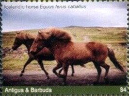 Colnect-6446-173-Icelandic-Horses.jpg