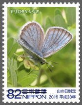 Colnect-3536-226-Butterfly-Lycaeides-subsolanus-yarigadakeanus.jpg