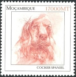 Colnect-1486-330-Cocker-Spaniel-Canis-lupus-familiaris.jpg