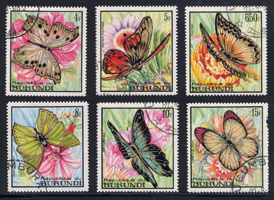 Skap-burundi_02_butterflies-white-middle_246-51.jpg