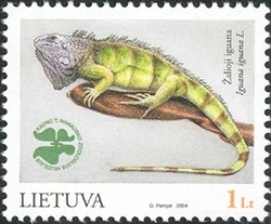 Colnect-433-923-Green-Iguana-Iguana-iguana.jpg