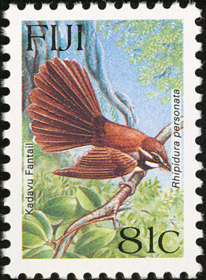 Colnect-867-786-Kadavu-Fantail-nbsp-Rhipidura-personata.jpg