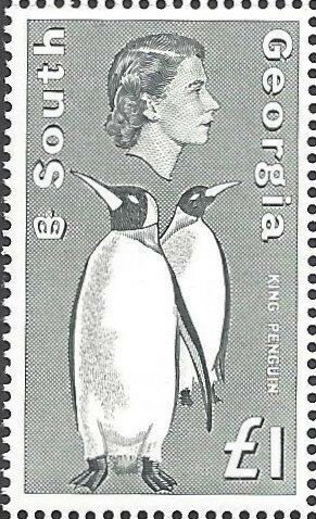 Colnect-5611-953-King-Penguin-Aptenodytes-patagonicus.jpg