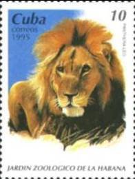 Colnect-1559-583-Lion-Panthera-leo.jpg