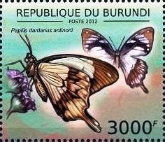 Colnect-4740-078-Papilio-dardanus-antinorii.jpg