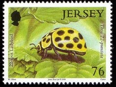 Colnect-706-330-Twentytwo-spot-Ladybird-Beetle-Thea-vigintiduopunctata-.jpg