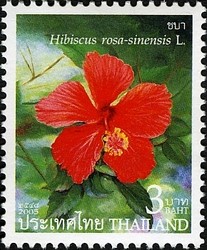 Colnect-1667-842-Hibiscus-rosa-sinensis.jpg