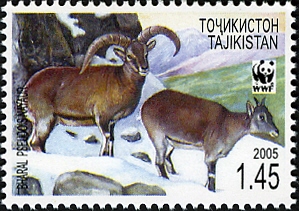 Stamps_of_Tajikistan%2C_033-05.jpg