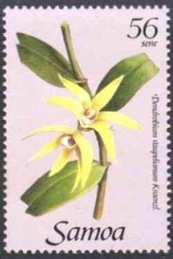 Colnect-2535-983-Dendrobium-vaupelianum-kraenzi.jpg
