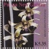 Colnect-4219-548-Dendrobium-wulaiense-Howcroft.jpg