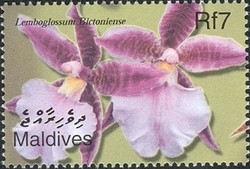 Colnect-961-883-Flora-of-the-Maldives---Lemboglossum-Bictoniense.jpg