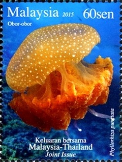Colnect-2820-842-White-spotted-Jellyfish-Phyllorhiza-punctata.jpg