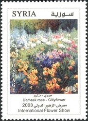 Colnect-1428-683-Damask-Rose---Gillyflower.jpg