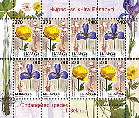 2003._Stamp_of_Belarus_0507-0508.jpg