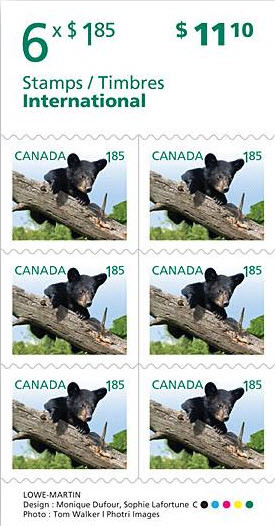 Colnect-1664-139-American-Black-Bear-Ursus-americanus.jpg