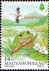 Colnect-574-231-European-Tree-Frog-Hyla-arborea-White-Stork-Ciconia-cico.jpg
