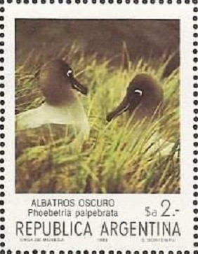 Colnect-1607-224-Light-mantled-Albatross-Phoebetria-palpebrata.jpg