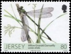 Colnect-1676-020-Willow-Emerald-Damselfly-Lestes-viridis.jpg